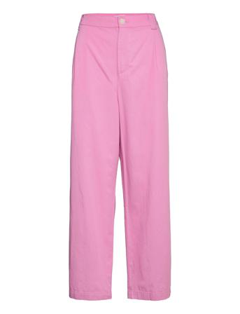 Zebri Pink Mango