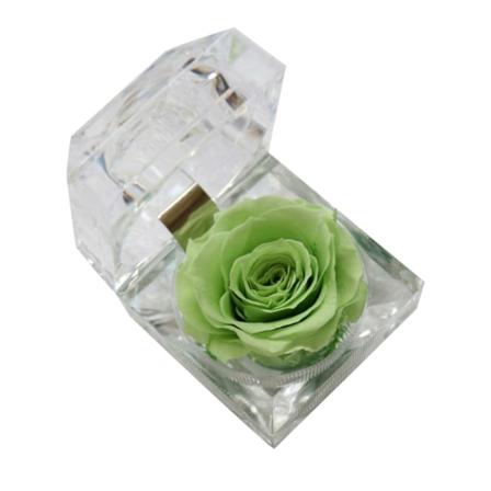 Bevart udødelig blomst ekte rose for friske blomster Dekor Krystallboks for lærere Dag Bursdag Bryllupsfester Valent