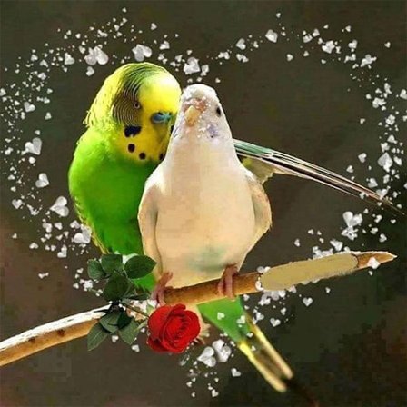 #30x40cm 5D DIY Diamantmaleri Sæt til Voksne og Børn - Fugl#