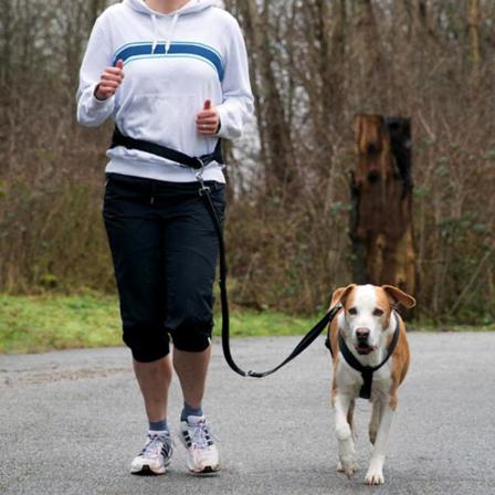 Trixie Joggingbälte Strl. M Svart 12767 Svart