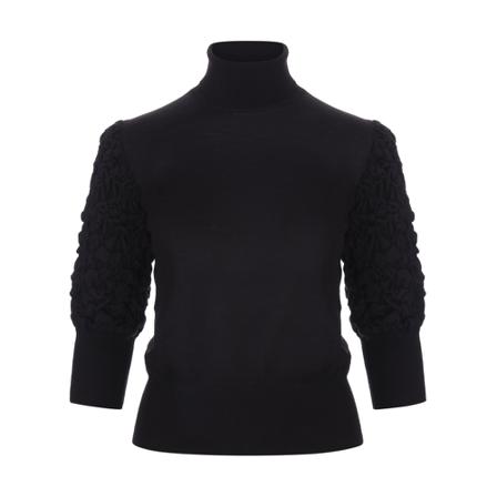 Alberta Ferretti Turtlenecks Sort, Dame Rullekraver