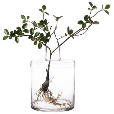 Ernst Glasvase med låg, 28 cm - Transparent | KitchenOne