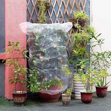 Hage Mesh Netting Beskyttelse Netting H3,3 X B2,6 FT