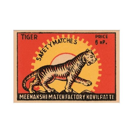 Tiger Safety Matches Monterat Tryck 40cm x 30cm Orange/Gul/Svart
