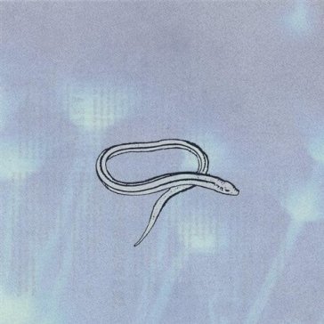 Bring on the snakes (reissue) Crooked Fingers