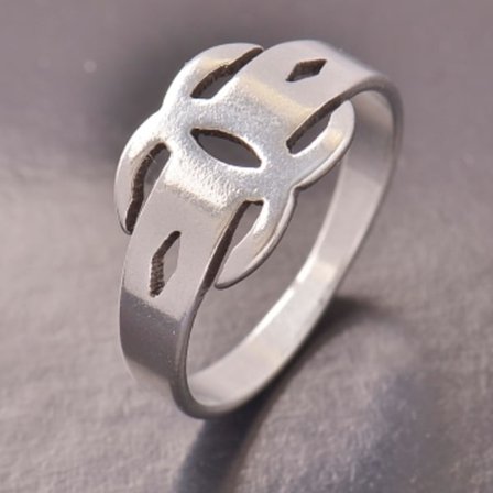 Rostfritt stål ring