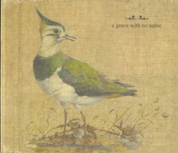 Feathers wet under the moo A GRAVE WITH NO NAM