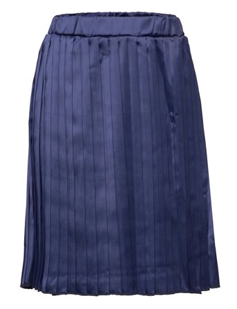 Tndacki Pleat Skirt Blue The New