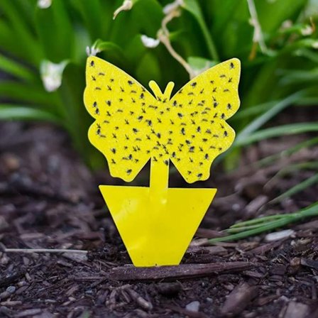 100 stk selvklebende fluefeller insektfelle [HK]