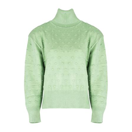Silvian Heach, Turtlenecks Groen, Dames, Maat:L,stof