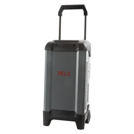 PELA 544069 Batterioplader med starthjælp, 12/24 V, 250 A, Værksted & køretøj