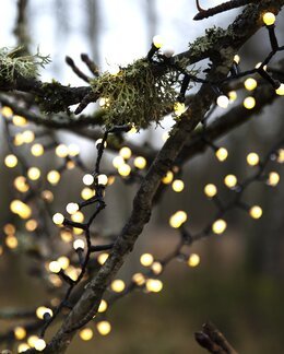 Star Trading Ljusslinga Berry Mini Svart