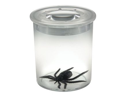 EDU-TOYS Förstoringsburk - Lyreco - Skola och förskola - Klassrummet / Lära - Biologi