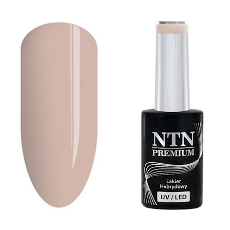 NTN Premium - Gel polish - Day Dreaming - Nr62 - 5g UV gel/LED