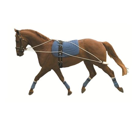 Kincade Lunging Training System One Size May Vary