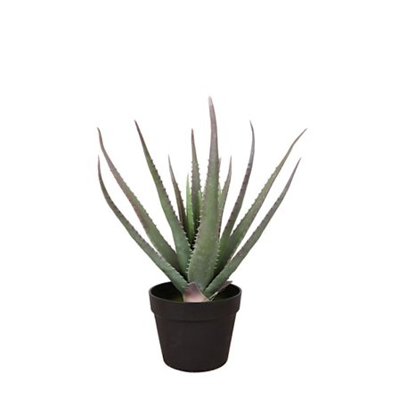 Aloe vera -keinotekoinen kasvi mustassa ruukussa, 52 cm PVC