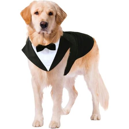 Hunde Smoking Og Bandana Sæt Hunde Formel Smoking Til Bryllup Xxl
