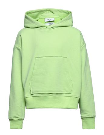 Our Alice Hood Sweat Green Grunt