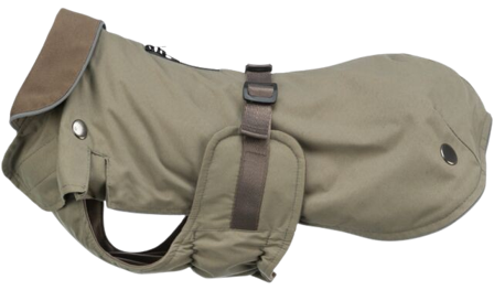 Trixie Hermy 2 in 1 Dachshund koiran takki, 43 cm, Olive Green