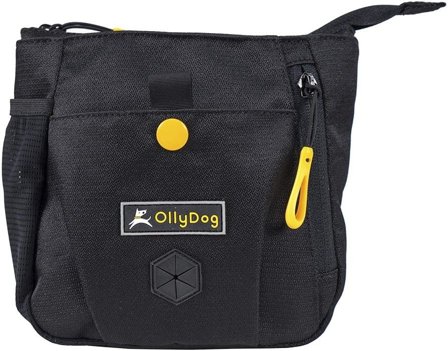 OllyDog Backcountry Day Bag Raven