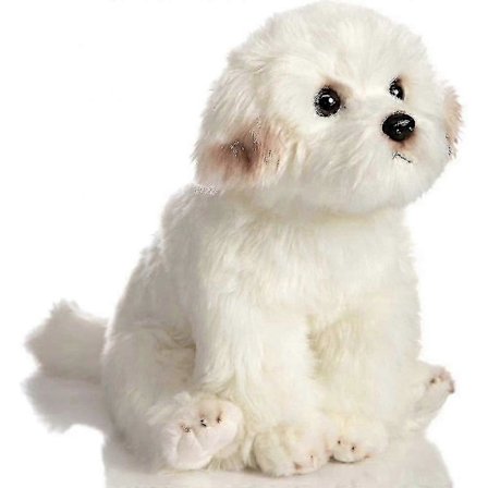 Realistinen pehmoinen Maltankoira, täytetty eläin pentukoira lelut ZSG EZP 38cm