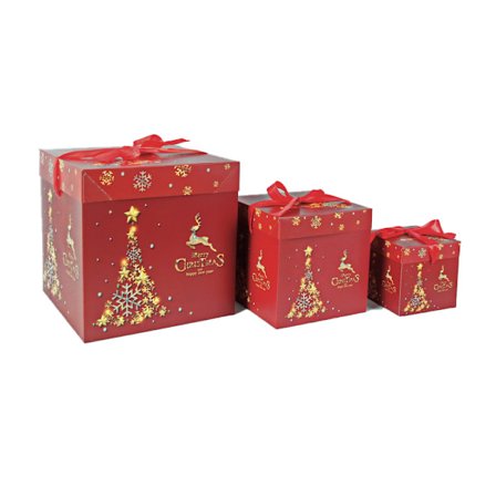 Presentförpackning set Model 5