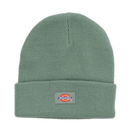 Dickies, Hats Groen, unisex, Maat:ONE Size