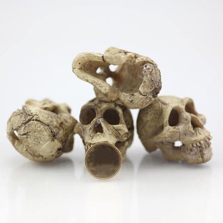 Halloween figurer dekorationer Resin liten skalle Akvarium dekor för akvarium prydnad