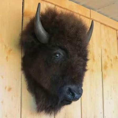 Nye grænseoverskridende harpikshåndværk kreativt ko-hoved hjem kreativ vægdekoration hængende villa væg dec