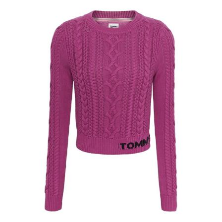 Tröjor Tommy Hilfiger Dw0dw11004vtc Lila 163 - 167 Cm/s