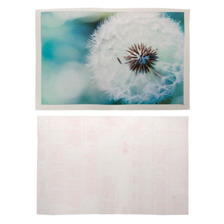 Laptop Sticker Notebook Skin Cover Sommar Trendig Konstdesign Universal Notebook Skin Protector Klippbar för 12-17 tum