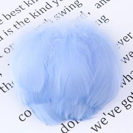 100 stk./sæt Farvede Gåsefjer 5-8 cm 8-12 cm Naturlige Fjer Håndværk til Bryllup DIY Håndværk Drømmfangere Dekorative Fjer Light blue 100PCS 8-12CM
