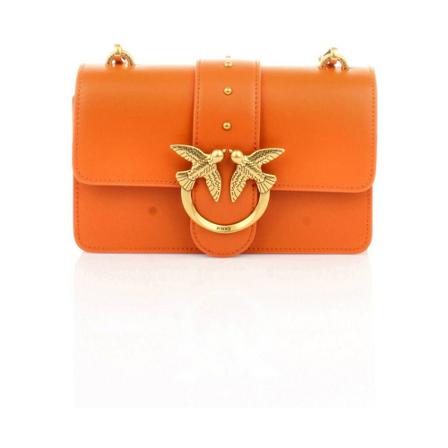 Pinko, Shoulder Bags Pomarańczowy, Kobieta, Rozmiar: ONE Size