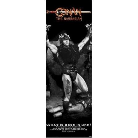 Poster - Conan - The Barbarian (dörraffisch) Multicolor