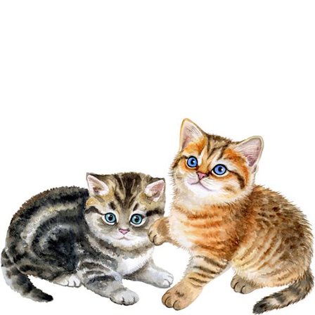 Sæt vægklistermærker to søde katte klistermærker vægdekoration