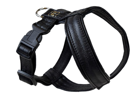 Gustaf och Evita - Hundsele Pro - Skinnskodd Black Nr 4 - Hund - Halsbånd - ZOO.no