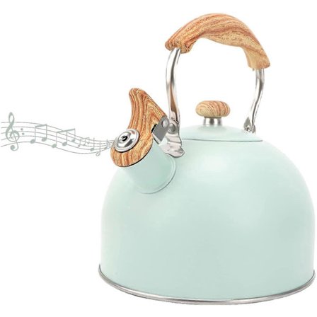 2,5L vannkoker med fløyte og ergonomisk håndtak, vannkoker i rustfritt stål, induksjonsvannkoker, plystrende vannkoker for alle gasskomfyrer og 