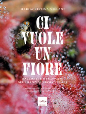 Ci vuole un fiore. Racconti e meraviglie del silenzioso regno verde. Ediz. a colori Mariacristina Villani