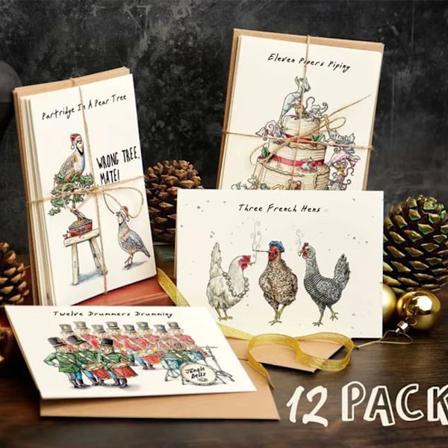 Tolv dagar av jul-kortset 12 dagar Quirky roliga kort nedräkning jul-gåva 12PCS