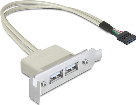 Delock Slot bracket - USB-kabel - USB til 9-pins USB-header - 50 cm
