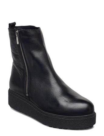 A-9508-M Black Wonders
