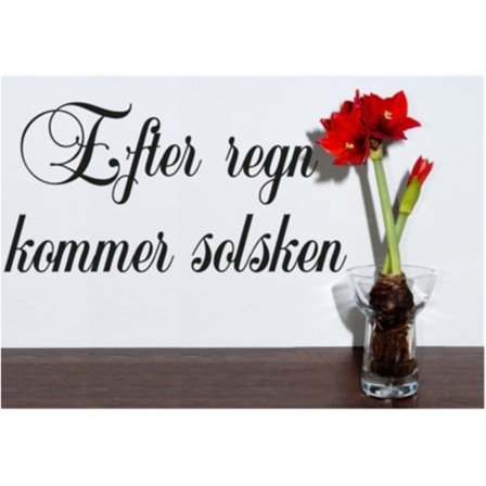 Efter regn kommer solsken Väggord