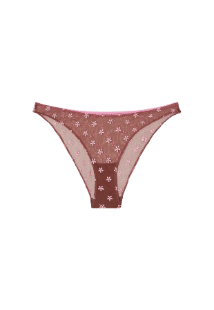 Understatement Mesh Bikini Briefs Trosor Dam Flerfärgad S