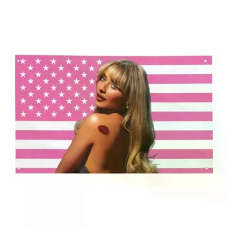 Singer Sabrina Carpenter Short n' Sweet -lippu, sopii olohuoneeseen, kotiin, asuntolan sisustukseen, taide-, autotalli-, baari-, seinä-, klubi- ja 