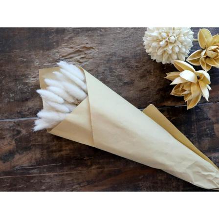 Fleur Äkta Torkade Lagurus Blommor Ca. 50 L50 Cm Creme