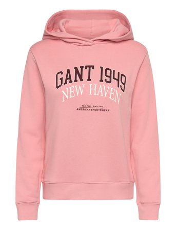 GANT | Reg Arch Print Hoodie | M