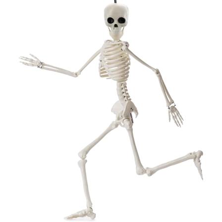 Rörliga Halloween-skelettdekorationer, 40 Cm Skelett Halloween-dekor Helkroppsskelettfigur Rörliga leder Skelettmodell Dödskalledekor för hallowe