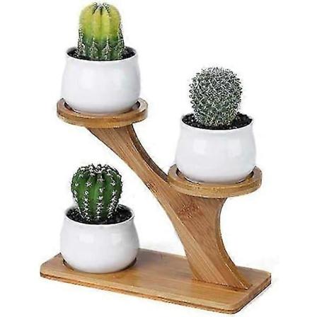 Sett med 3 mini keramiske blomsterpotter med bambusramme for sukkulenter, kaktus og små planter 20x16,5cm + 5,1x6,5cm -CHN