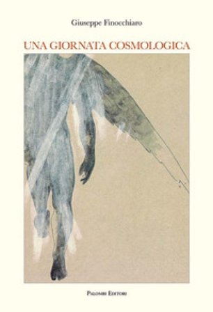 Una giornata cosmologica Giuseppe Finocchiaro