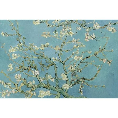 Van Gogh (Almond Blossom)